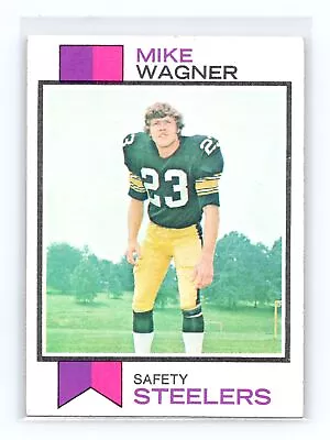 1973 Topps #246 Mike Wagner RC • $7.97