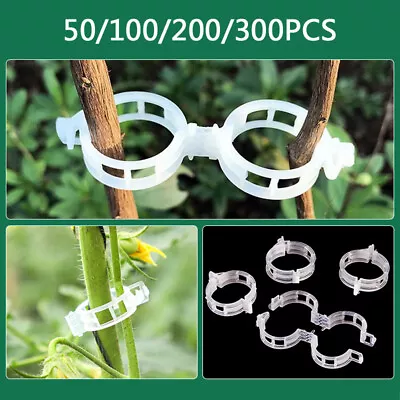 Plant Support Clips Ties Veggie Trellis Stake Greenhouse Tomato Garden Tools • £4.55