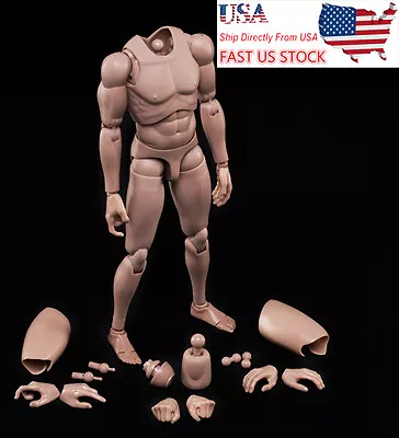 $16.70 • Buy MX02-A 1/6 Scale Europe Skin Male Figure Body Model Toy Fit For Head With Neck