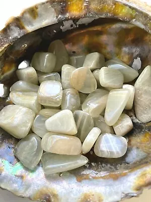 1X Garnierite Green Moonstone Tumbled Stone 20-30mm Reiki Healing Crystal Trauma • $3.39