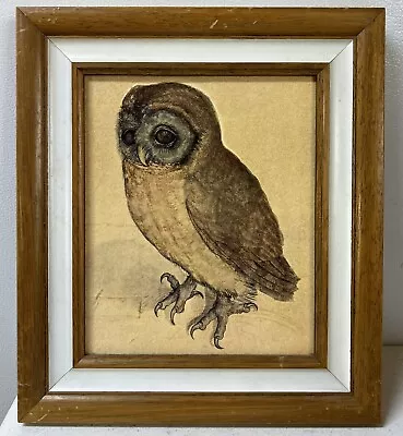 THE LITTLE OWL Vintage ALBRECHT DURER LITHOGRAPH 12.5x10.5” SE5 • $16