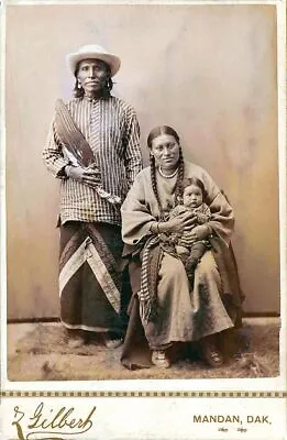 £3.99 • Buy Native American Indian, Gray Bear & Pappoose, Photo Print Picture