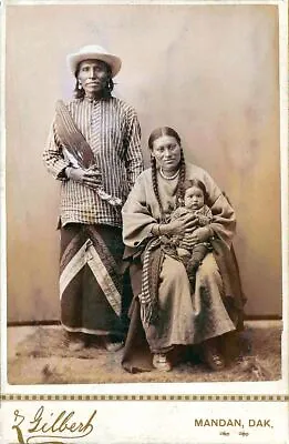 Native American Indian Grey Bear & Family 1885 Photo Picture Reprint  • £4.50