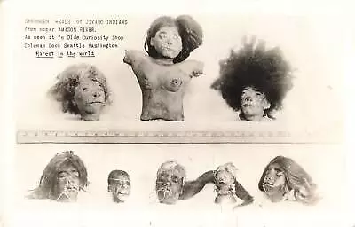 1940s RPPC SHRUNKEN HEADS Real Photo Postcard Head Oddities Creepy Weird Odd • $125