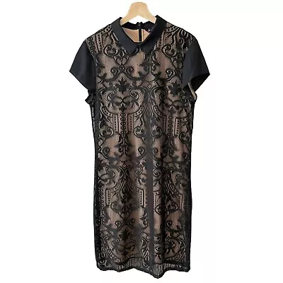 Long Tall Sally Lace Shirt Dress Black Size 12 Knee Length Party Dressy NWT • $34.99