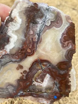 Crazy Lace Agate Slab (Mexico) • $11