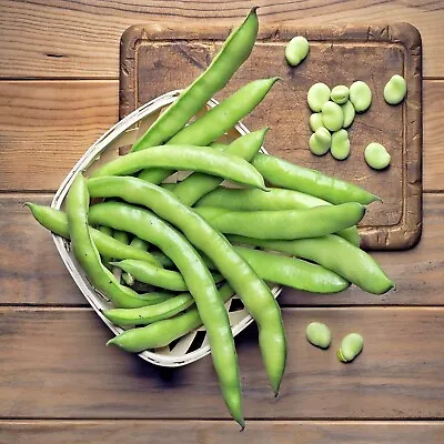 £1.19 • Buy Vegetable - Broad Bean Aquadulce Claudia Appx 60 Seeds