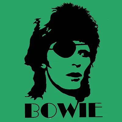 David Bowie T-Shirt Ziggy Stardust Hunky Dory Pin Ups BlackSheepShirts • $34.95