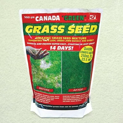 Canada Green Grass Seed 500G • £14.99