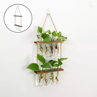 £16.49 • Buy Wall Hanging Terrarium Test Tube Vase Planter Propagator For Cutting Home