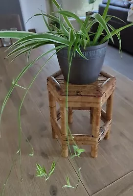 Small Vintage Retro 70s Hexagonal Bamboo Cane Plant Stand 26cm • $85