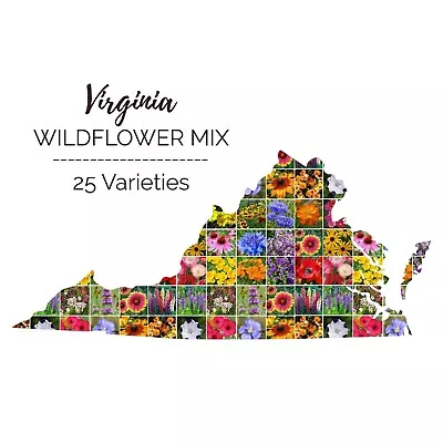 Wildflower VIRGINIA State Mix Perennials &Annuals 25 Species Non-GMO 1000 Seeds! • $3.98