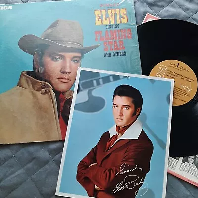 Elvis Presley SINGER FLAMING STAR PRS-279 (USA 1968 ORIGINAL) W RARE PROMO PHOTO • $73.15