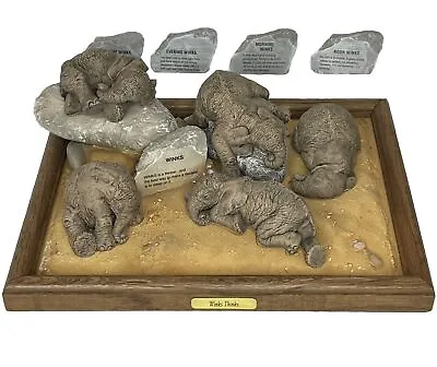 Winks Thinks HERD Elephant Display Base W 5 Figures Martha Carey Noon Midday Etc • $159.99