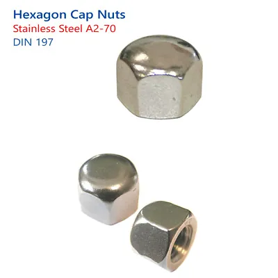 M4 M5 M6 M8 M10 M12 Hexagon Hex Cap Nuts Stainless Steel A2 - Din 917 • £1.59