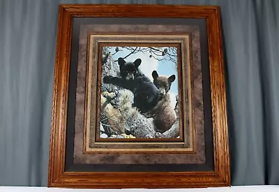 Carl Brenders High Adventure Bear Print In 46  Oak Frame Nice Presentation • $150