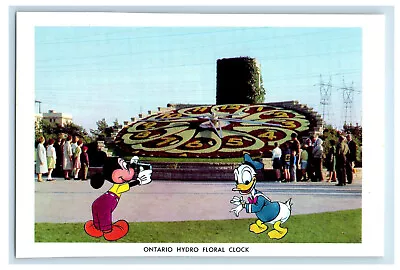 C1950's Mickey Mouse Donald Duck Ontario Hydro Floral Clock Canada Postcard • $14.98