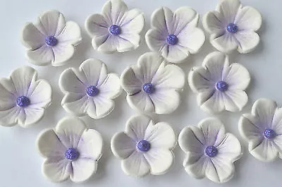 24 Edible Lilac And White Blossom Birthday Cake Flowers. Edible Lilac Flowers • £8.95