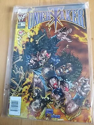 WWE Undertaker #8 Comic • £10