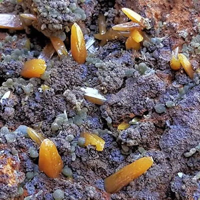 Very Fine 4 1/2 Inch Wulfenite Crystals With Mimetite • $1