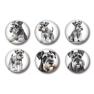 Schanzer Dog Refrigerator Magnet Set Kitchen Whiteboard Set Of 6 1.5  Home Decor • $9.90