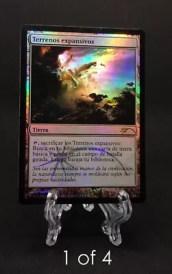 Magic The Gathering - Evolving Wilds - FNM Promo - NM - Foil - Spanish • $2