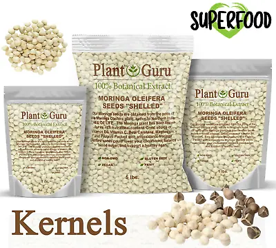 Moringa Oleifera Seeds Kernel SHELLED Fresh Organic Semilla De Moringa Bulk  • $7.15