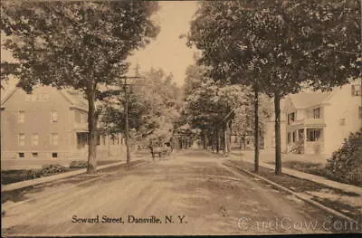 DansvilleNY Seward Street Livingston County New York F.A. Lieb Postcard Vintage • $9.99
