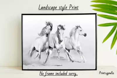 White Horse Horses  A4 Print Poster Picture Wall Art Home Decor Unframed New • £3.99