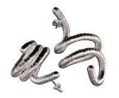 £78.61 • Buy RARE New Breil Milano Italy 4 Incu Stainless Steel Snake Twist EARRINGS RRP$380