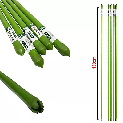 Plant Support Stake Plastic Coated Steel Long Tomato Garden Cane Stick 1.8m 20mm • £29.99