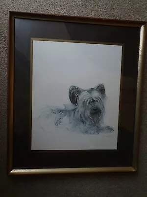£8.99 • Buy Vintage Framed Print Of A Skye Or Yorkshire Terrier  By Danish Artist Mads Stage