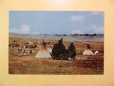 American Horse's Camp Cheyenne Reservation Montana Postcard Huffman Photo  • $1.99