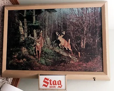 Vintage Stag Beer Lighted Deer In Woods Sign Metal Frame Approx 2 1/2 Ft. Wide • $350