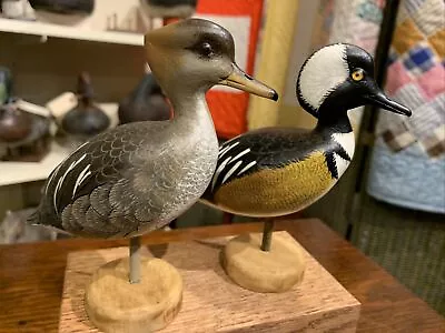 Great Pair Miniature Standing Hooded Merganser Duck Decoys By John Wood Vintage • $325