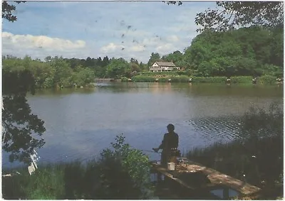 Llandrindod Wells The Lake Colour Postcard Posted 18p Stamp • £2.50