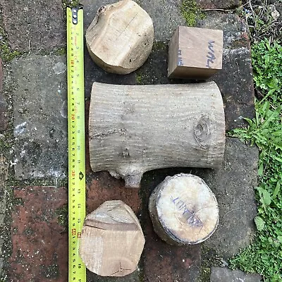 5 Walnut Woodturning Blanks • £28