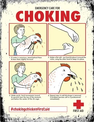 £4.99 • Buy Vintage Retro Choking Chicken Safety Fun Quote Bar Pub Shed Man Cave Metal Sign