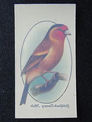 GOLDFINCH CANARY MULE Aviary & Cage Birds TRANSFERS By John Player 1933 • £2.75