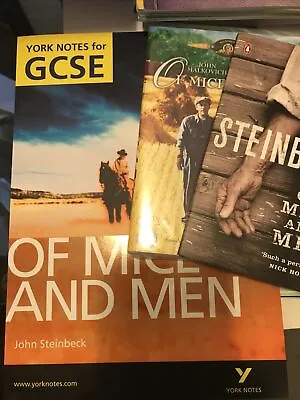 Of Mice And Men: York Notes For GCSE By Martin Stephen Novel & New DVD • £3.50