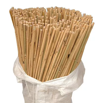 2ft3ft/4ft/5ft/6ft/7ft Bamboocanes Strong Thick Pole Garden Stakes Plant Support • £9.99