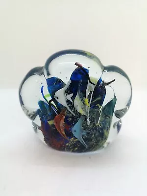 Murano Italy Small Marine Fish Aquarium Water Customize Special Hand Blown Glass • $130