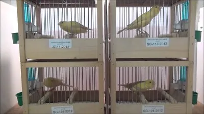 Song Canary Bird Training Cage • $79.99