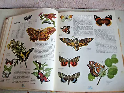 1975 Soviet Children's Full Encyclopedia What Is Who USSR Vintage Russian RARE • $120