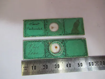 Antique Victorian Prepared Slide Lot London Microscope Part As Pictured 11-dt-h • $29