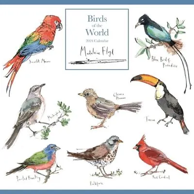 Madeleine Floyd Birds Of The World 2024 Square Wall Calendar 12 X 12 • £6.99