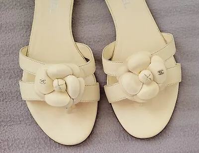 Auth. Chanel Camellia Flower Cc Logo Ivory Leather Thong Flat Sandals 39/8.5 • $399