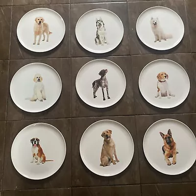 9 Pack Large 10” Dog Melamine Sturdy  Plates Picnic Parties New • £8.99