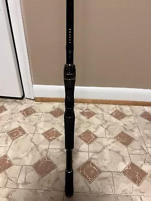 Daiwa Rebellion Casting Rod • $150