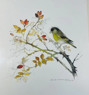 £55.91 • Buy Vintage 1970s Mads Stage Yellow Cardinal Art Print Signed
